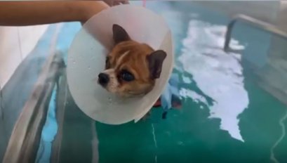 น้องนินจา ผ่าตัดรักษาภาวะหมอนรองกระดูกกดทับเส้นประสาท 